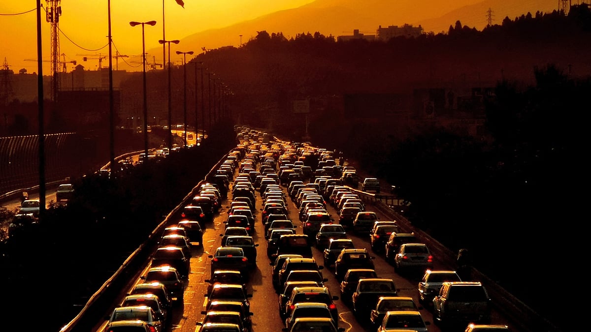 In Pics 10 most unusual jobs in the World